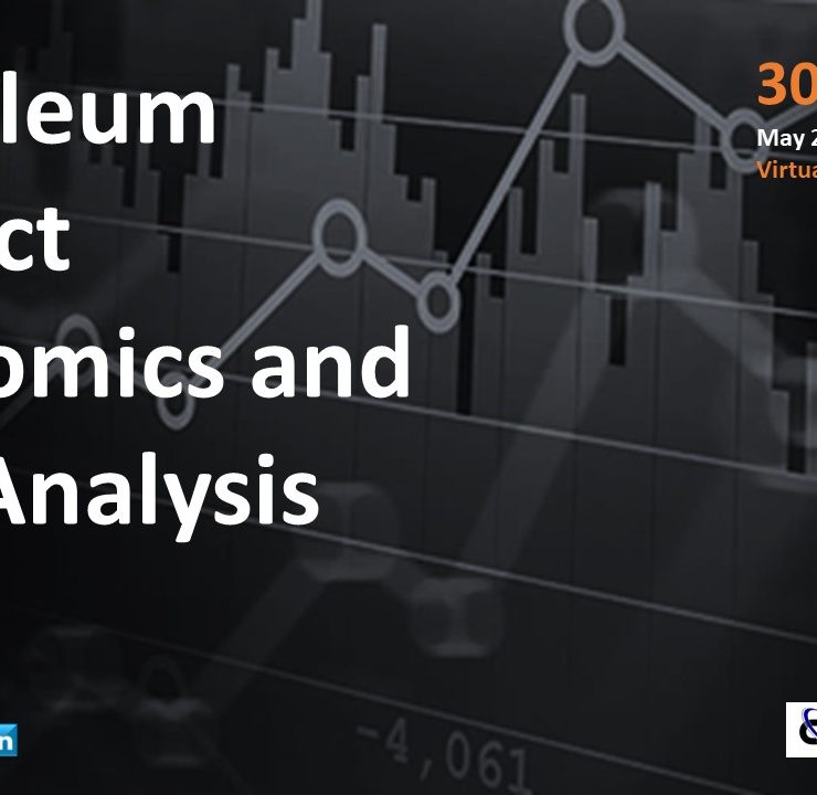 Petroleum Project Economics and Risk Analysis